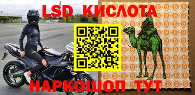 a pvp Кунгур