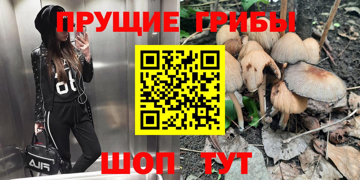 Галлюциногенные грибы Magic Shrooms Ессентуки