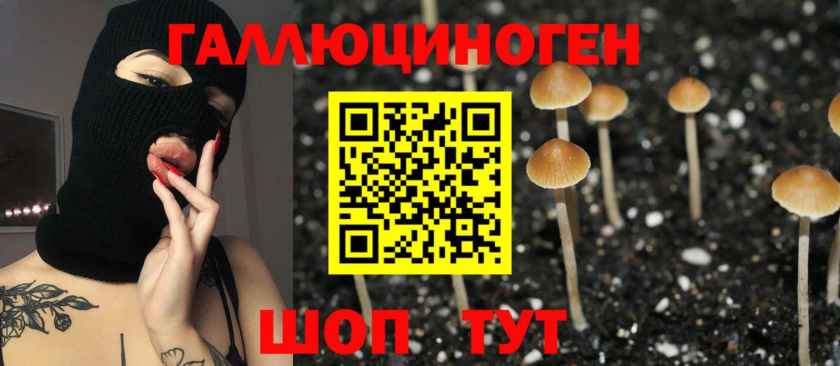 Ессентуки  Галлюциногенные грибы Psilocybe  Вход с VPN 